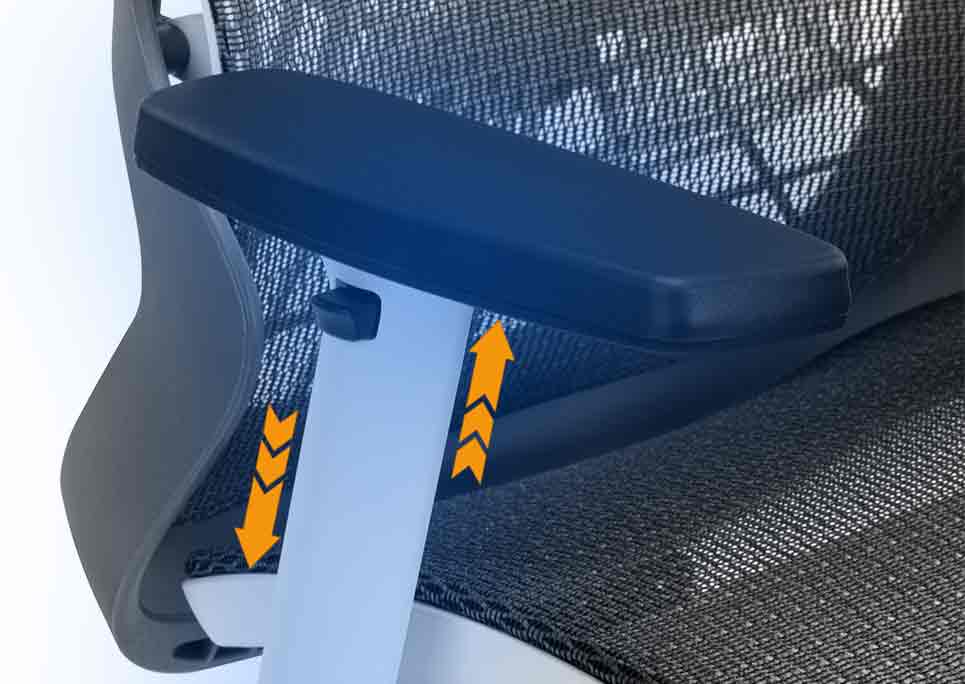 Feature Image